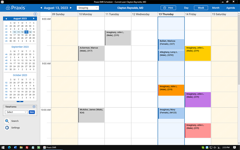 screenshot of Praxis EMR